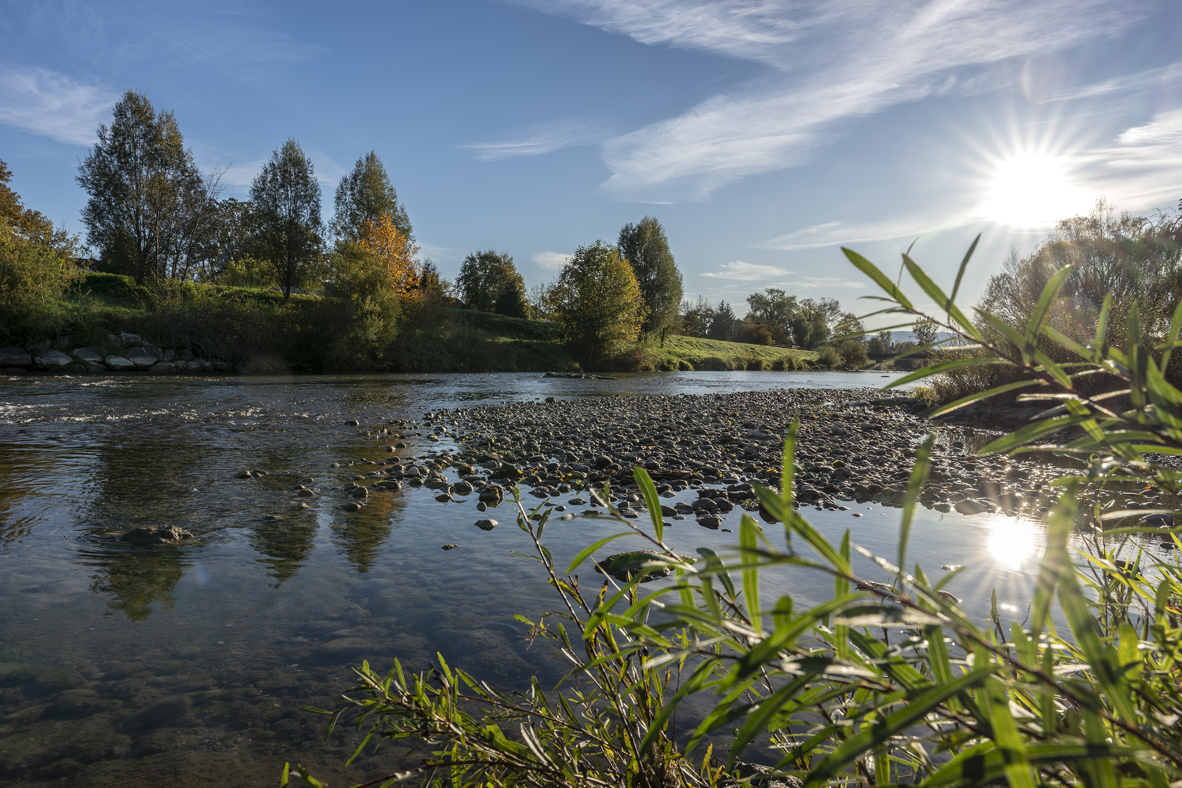 Der Fluss Mangfall mit Wiesen und Bäumen am Ufer